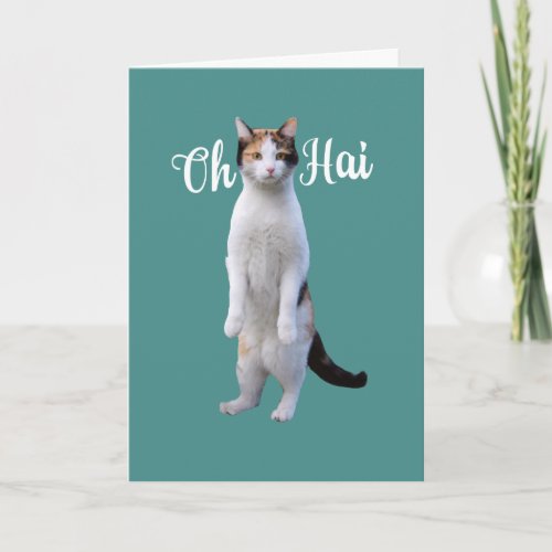All Occasion Say Hello Cute Standing Cat Card