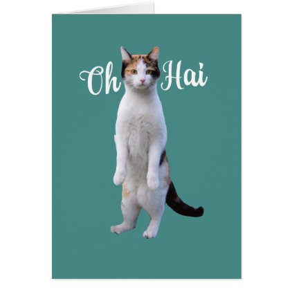 All Occasion Say Hello Cute Standing Cat Card