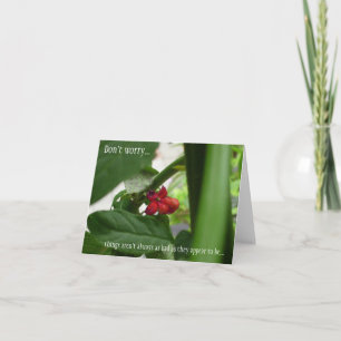 All Occasion Sympathy Card