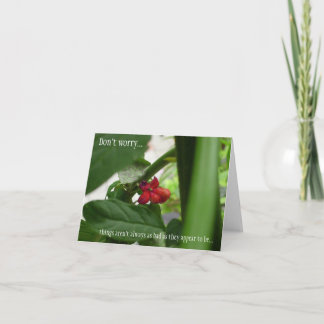 All Occasion Sympathy Card