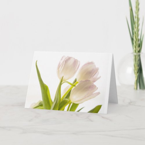 All_Occasion White Tulips Card