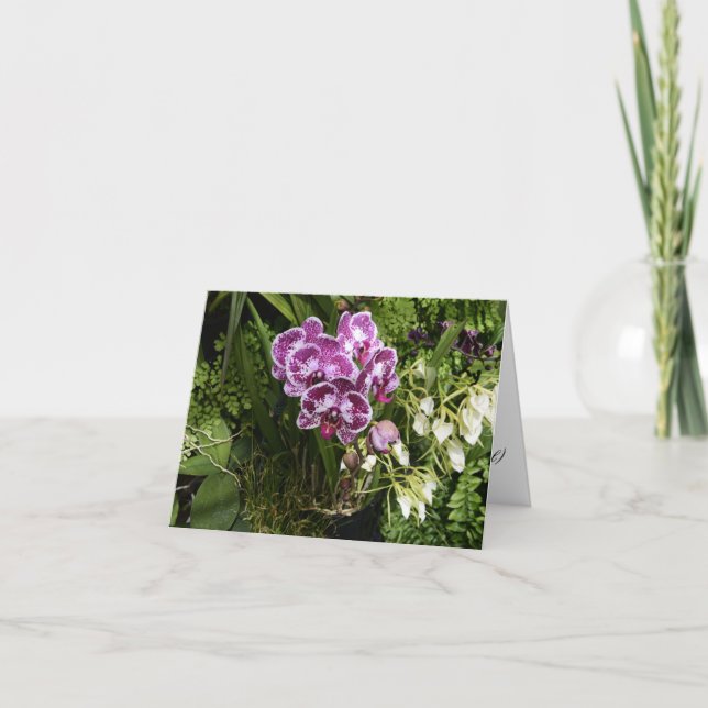 All Occasions Orchids Greeting Card (Front)