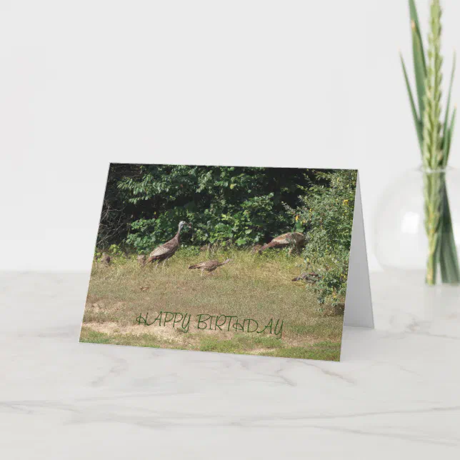 All Of Us Turkeys, Birthday Card | Zazzle