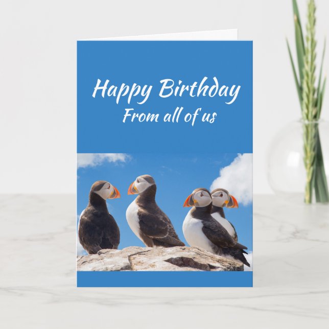 All Of Us Wish Happy Birthday Puffin Fun Card (Front)