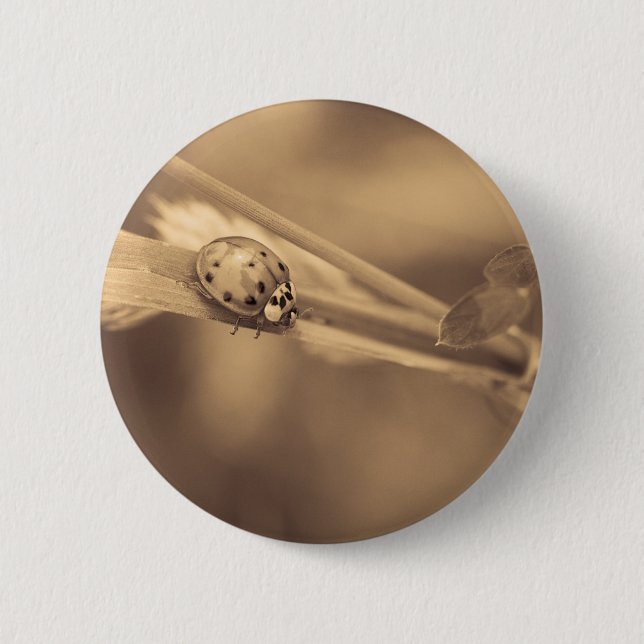 all one summer button (Front)