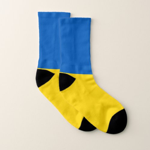 All Over Print Socks with Flag of Ukraine
