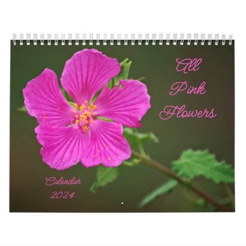 All Pink Flowers Photographic Calendar 2024