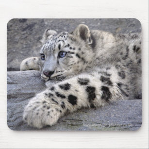 Snow Leopard Personalizado Computadora Mouse Mat 