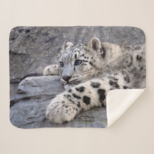 All Played Out Sherpa Blanket (Front (Horizontal))
