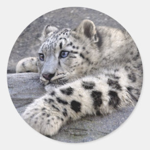 All Played Out Sticker