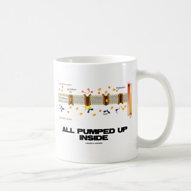 All Pumped Up Inside (Sodium-Potassium Pump) Coffee Mug (Right)