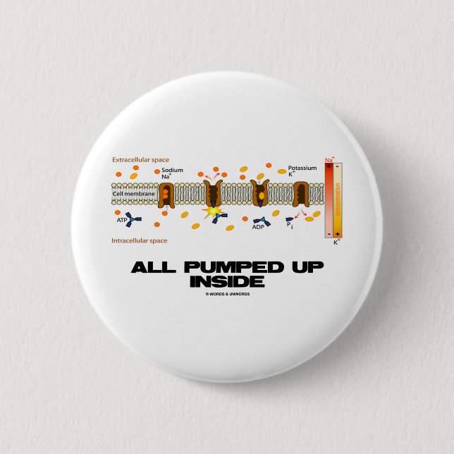 All Pumped Up Inside (Sodium-Potassium Pump) Pinback Button (Front)
