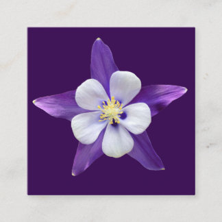 All Purpose Small Square Gift Gards Enclosure Card