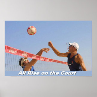All Rise on the Court Poster