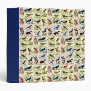All Sorts of Birds 3 Ring Binder
