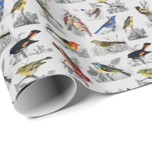All Sorts of Birds Wrapping Paper