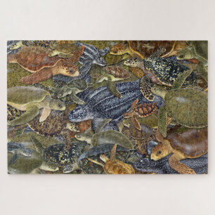 All Species of Sea Turtles Puzzle