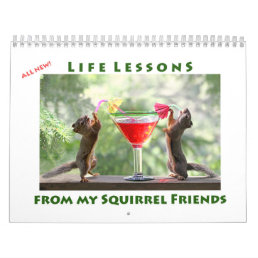 All Star Squirrel Calendar - New Life Lessons