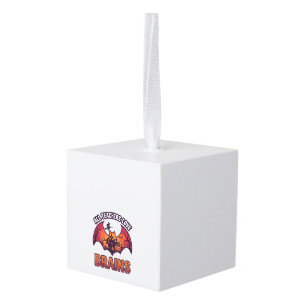 All Teachers Love Brains Halloween Bat Haunted Hou Cube Ornament