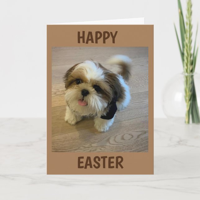 ALL THAT "BRINGS YOU JOY" THIS EASTER HOLIDAY CARD (Front)