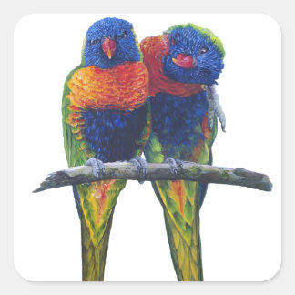 All the colors of the Rainbow Lorikeets Square Sticker
