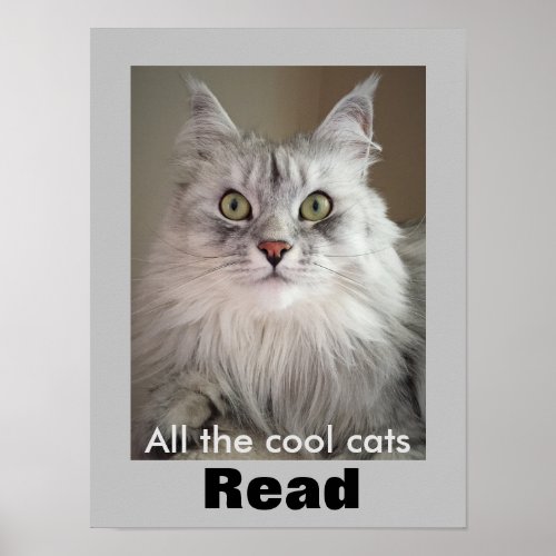 All the Cool Cats Read Literacy Poster Poster