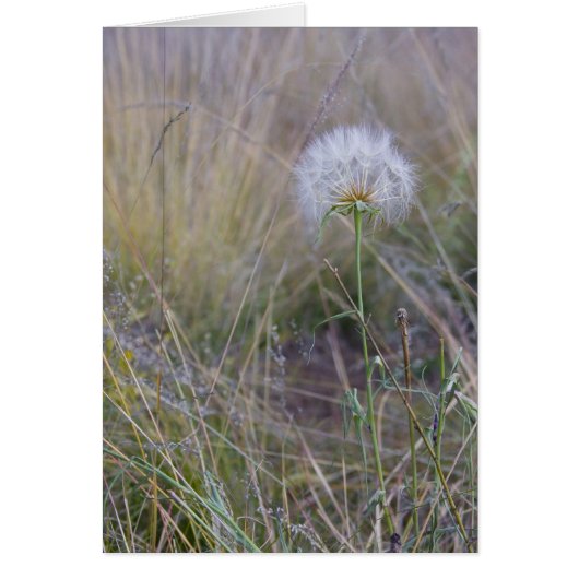 All the small things (Front)