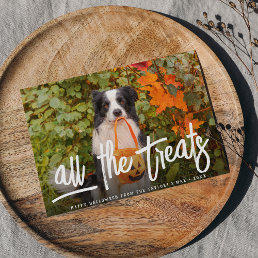 All the Treats | Halloween Pet Photo Card