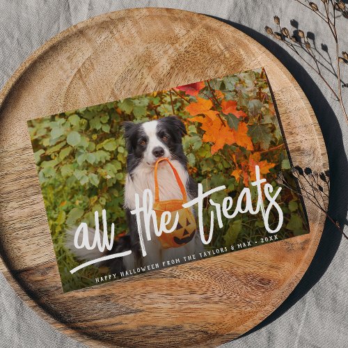 All the Treats  Halloween Pet Photo Card