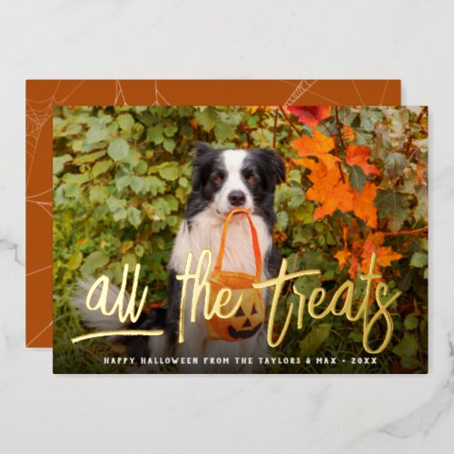 All the Treats  Halloween Pet Photo Foil Holiday Card