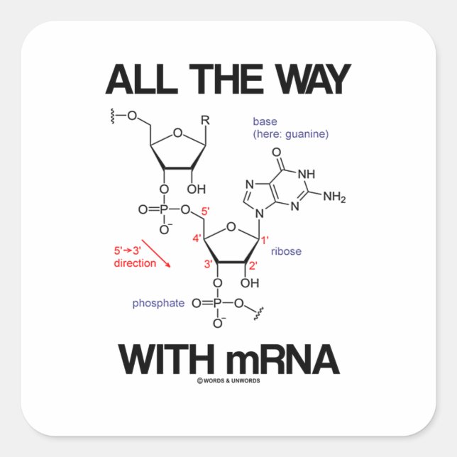 All The Way With mRNA Messenger RNA Molecular Bio  Square Sticker (Front)