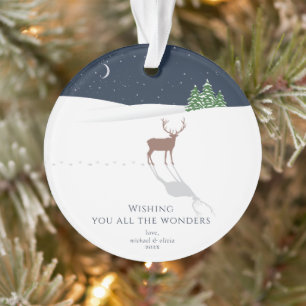 All the Wonders Starry Night Photo Ornament