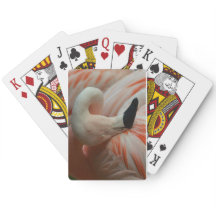 All things Flamingo!