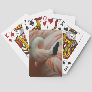 All things Flamingo! Poker Cards