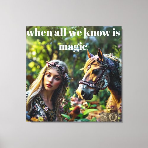 All We Know is Magic Canvas Print