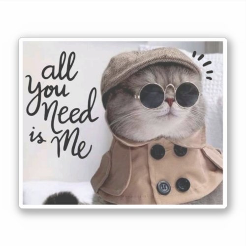 All You Need is Cool Cat Funny Cute Typography Sticker