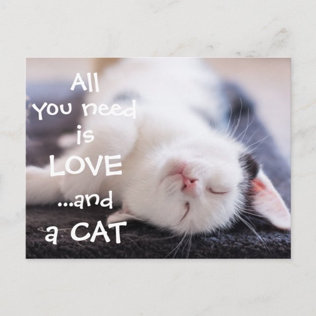 All you need is love...and a cat // kitten postcard (Front)