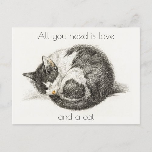 All you need is love and a cat postcard