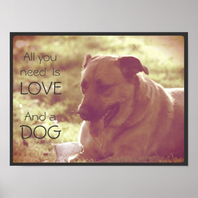 All You Need Is Love and A Dog Poster (Front)