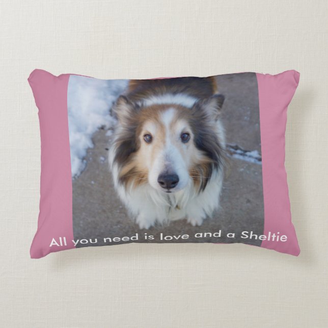 All you need is love and a Sheltie Accent Pillow (Front)