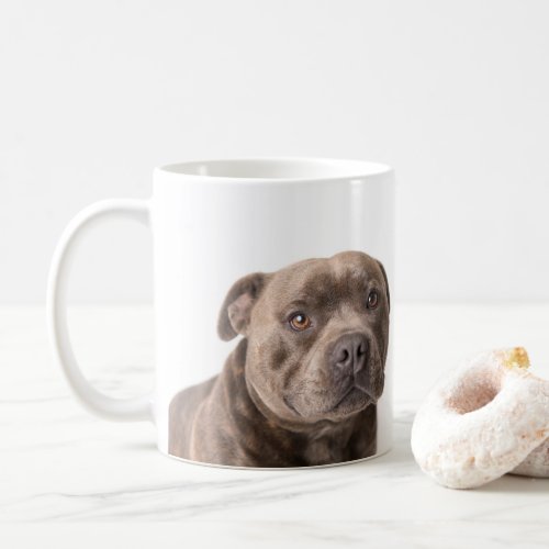 All You Need is Love and a Staffy Mug