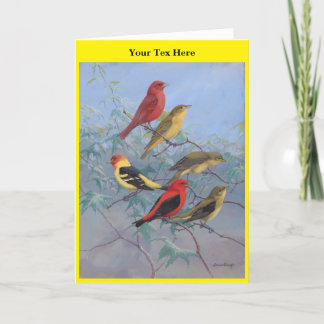 Allan Brooks Birds no3 Thank You Card