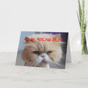Allan Brother Birthday Persian Cat Humor Card