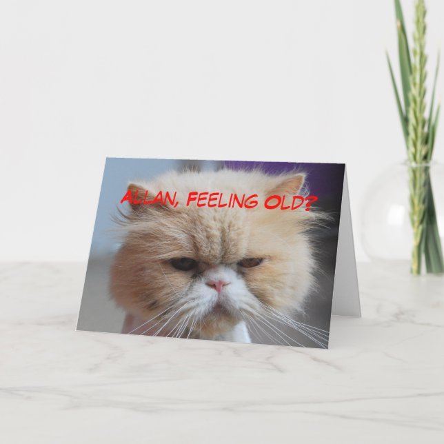 Allan Brother Birthday Persian Cat Humor Card (Front)