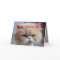 Allan Brother Birthday Persian Cat Humor