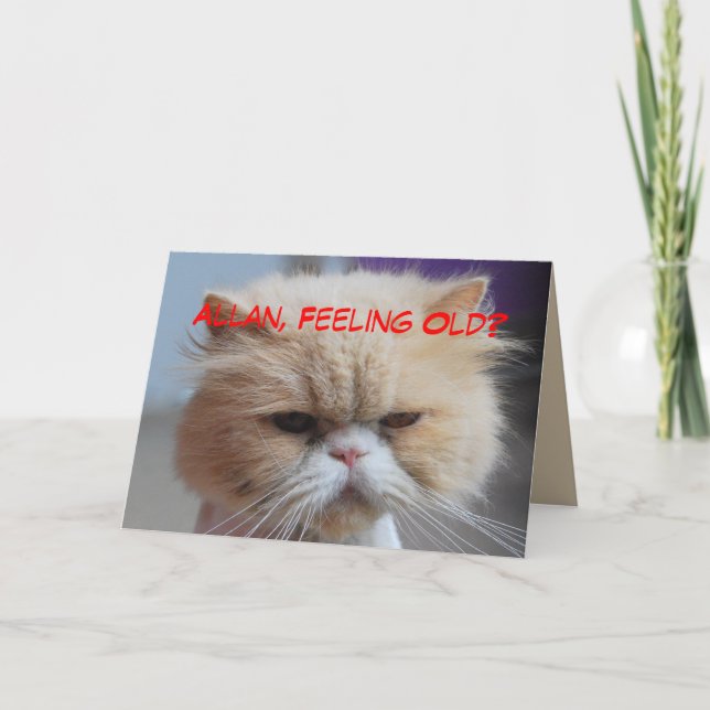 Allan Brother Birthday Persian Cat Humor Card (Front)
