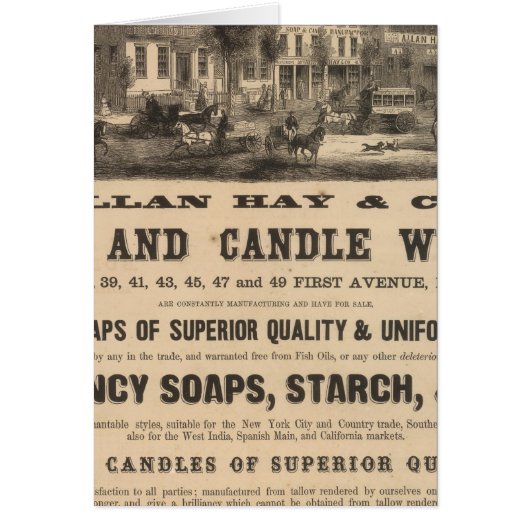 Allan Hay and Company (Front)