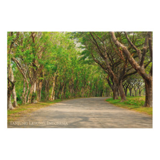 Allee Tree Lined Path Landscape Travel Photography Wood Wall Art