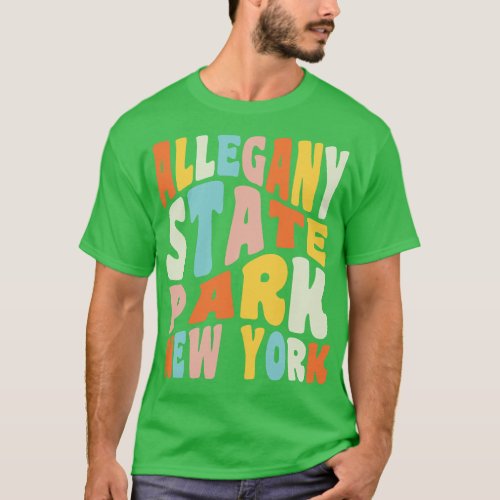 Allegany State Park New York Camping Hiking Retro  T_Shirt