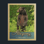 Allegany State Park Vintage Bear Postcard<br><div class="desc">Vintage travel style Allegany State Park image featuring a black bear standing on its hind legs,  looking into the green forest.</div>